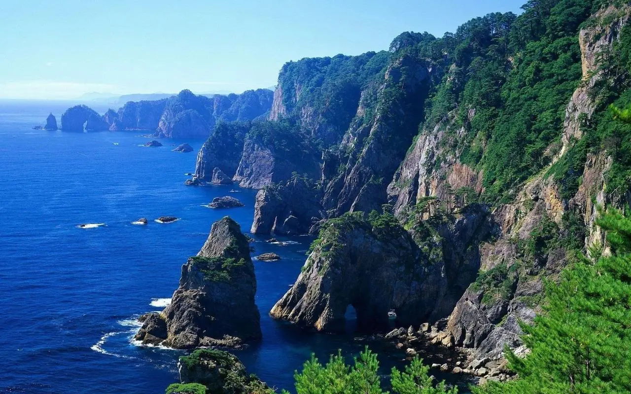 全自动高性能智能化